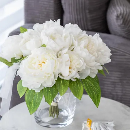 Nadbrzezna 250 M Do Plazy By Renters